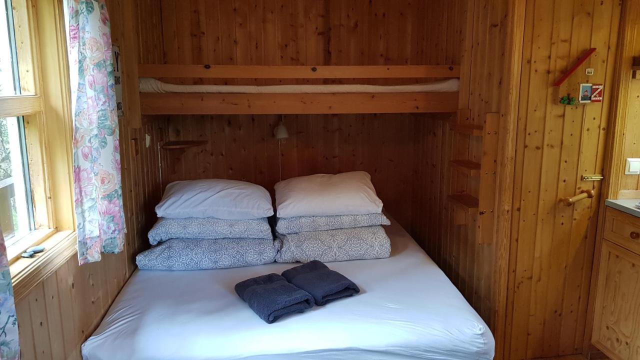 Cozy Cabin In The Woods 셀포스 외부 사진